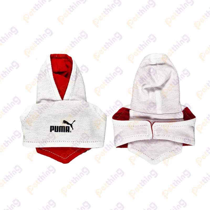 هودی عروس هلندی